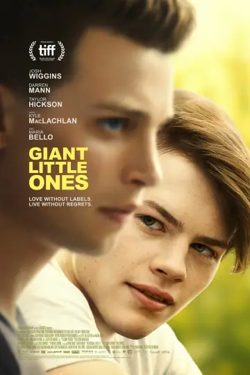 Постер до фильму"Giant Little Ones" #347023