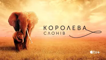 Задник до фильму"Королева слонів" #1065840