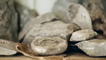 Задник до фильму"Амоніт" #901678