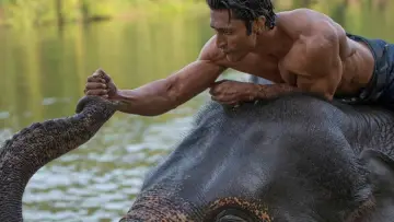 जंगली постер