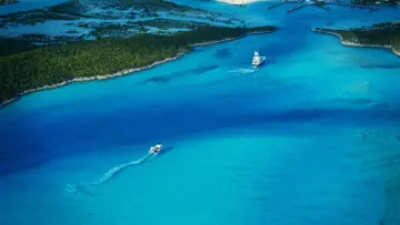 Задник до фильму"Fyre Fraud" #1041801