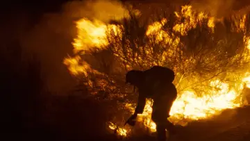 Задник до фільму "O que arde" #796784