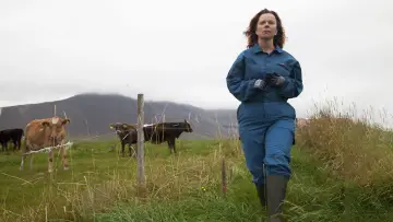 Задник до фильму"Héraðið" #502159