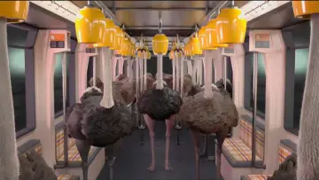 Задник до фильму"Ostrich Politic" #1174540
