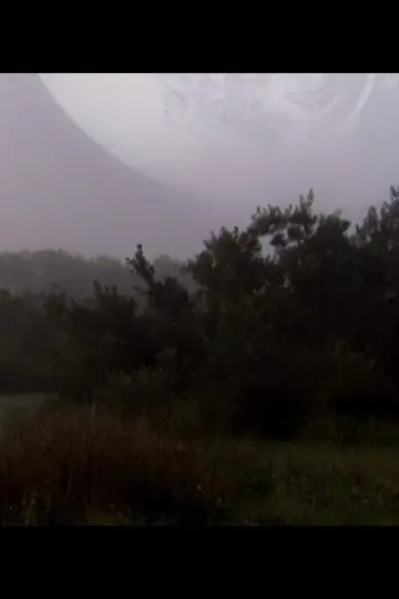 Постер до фильму"La Forêt de l