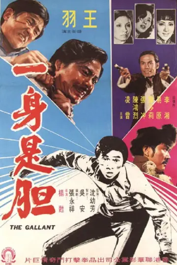 一身是胆 постер