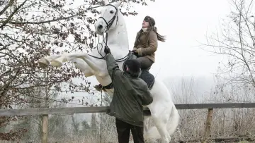 Danse avec lui постер