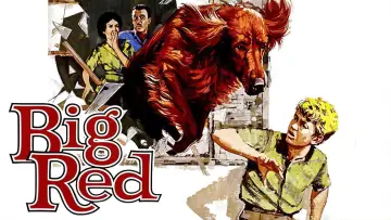 Задник до фильму"Big Red" #743545