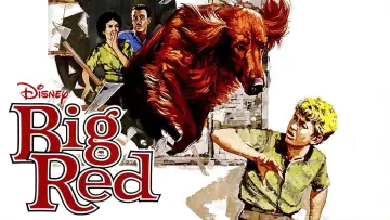 Задник до фильму"Big Red" #743546