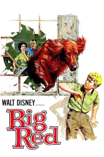 Постер до фильму"Big Red" #743550