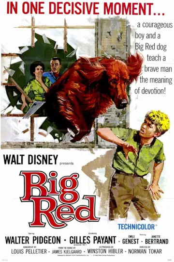 Постер до фильму"Big Red" #743551
