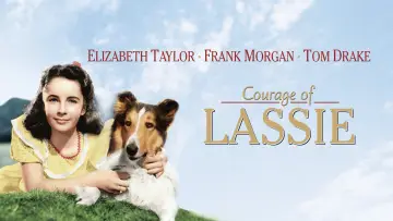 Задник до фильму"Courage of Lassie" #1118745