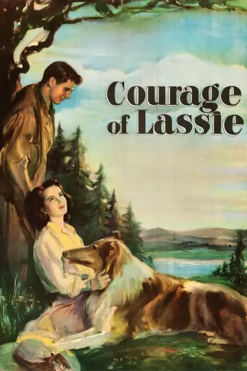 Постер до фильму"Courage of Lassie" #1118750