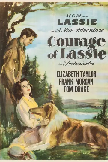 Постер до фильму"Courage of Lassie" #1118751