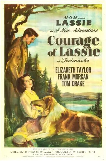 Постер до фильму"Courage of Lassie" #1118752