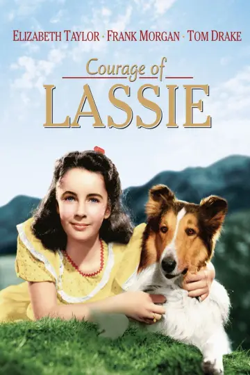Постер до фильму"Courage of Lassie" #1118753