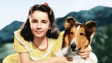 Задник до фильму"Courage of Lassie" #490537