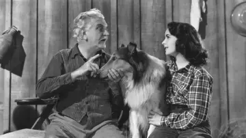 Задник до фильму"Courage of Lassie" #490538