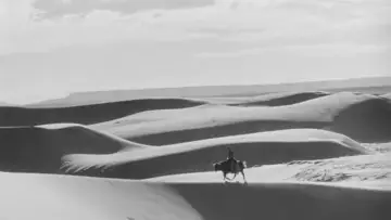 Задник до фільму "Four Faces West" #1870129