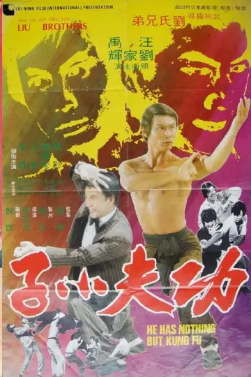 功夫小子 постер
