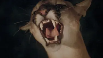Задник до фільму "Day of the Animals" #1583794