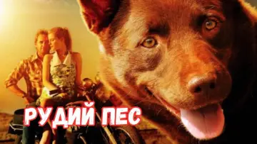 Задник до фильму"Рудий пес" #988570