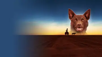 Задник до фильму"Рудий пес" #988577