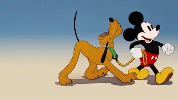 Задник до фільму "Society Dog Show" #1579855