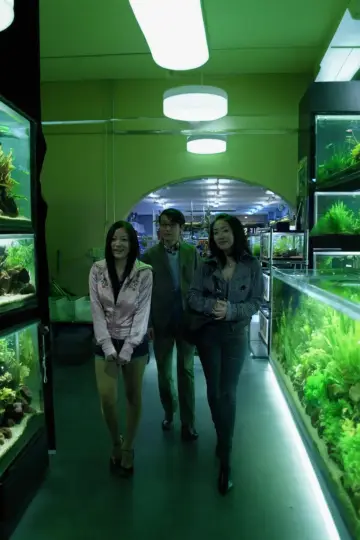 Постер до фільму "冷たい熱帯魚" #419182