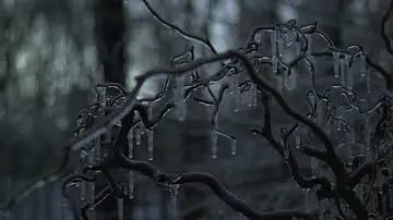 Задник до фильму"Крижана буря" #880501