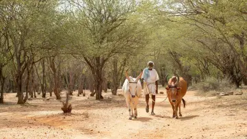 கடைசி விவசாயி постер