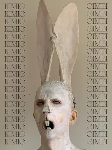 Постер до фильму"Nimic" #447578