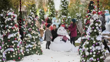 Задник до фільму "Christmas at Dollywood" #1870070
