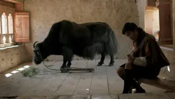 Задник до фильму"ལུང་ནག་ན" #419292