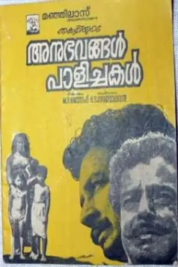 അനുഭവങ്ങൾ പാളിച്ചകൾ постер
