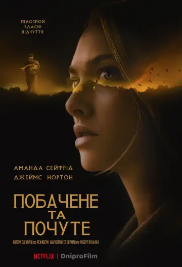 Постер до фильму"Побачене та почуте" #345715