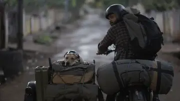 Задник до фильму"777 ಚಾರ್ಲಿ" #418990