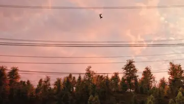 Задник до фильму"Людина-павук: Додому шляху нема" #525383