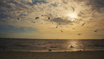 Задник до фільму "Some Kind of Heaven" #1889629