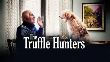 Задник до фильму"The Truffle Hunters" #1078068