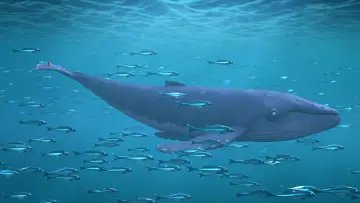 Задник до фильму"The Snail and the Whale" #414229