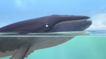 Задник до фильму"The Snail and the Whale" #414232