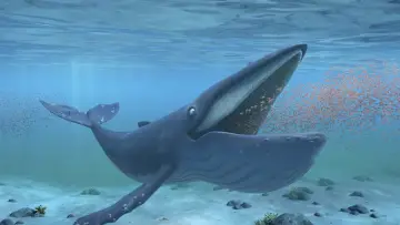 Задник до фильму"The Snail and the Whale" #414233