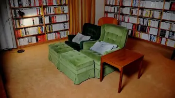 Bergmans video постер