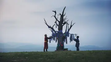 Задник до фільму "Die Adern der Welt" #1584252