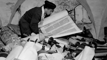 Задник до фільму "La Brigade des papiers" #1647862