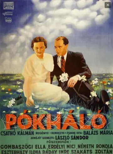 Постер до фильму"Pókháló" #1188547