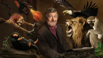 Задник до фильму"Fantastic Beasts: A Natural History" #1060580