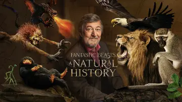 Задник до фильму"Fantastic Beasts: A Natural History" #1060581