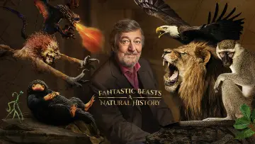 Задник до фильму"Fantastic Beasts: A Natural History" #1060582